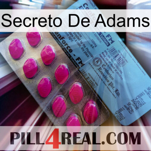 Adams Secret 35.jpg